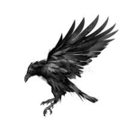 [ Bird Code ]