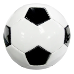 Talent Football Club(Talent FC)
