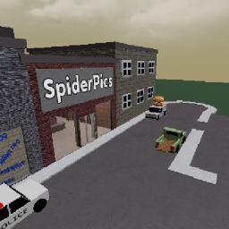 SpiderPics Thrift Store