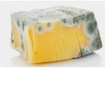 musty mold ;)