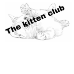 Subscribe to the kitten club please