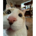 gwegwegwegtjxdcherhtethrethy4tfdjrtjdserhjehterjrt