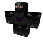 ninja masters and the fire ninjas