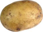 ARICARDO157