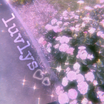 luvlys <3