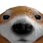 Piav