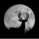 Deer Squad :)