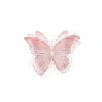 Sapbvcloths <3