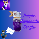 Purple Lemonade Corgis