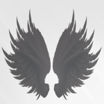 Black Birds Cage
