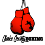 Roblox Ultimate Fighting Club