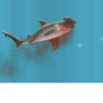SHARKYYYSSSS