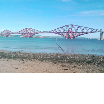 Shopping ## ### ######