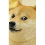 dogeły