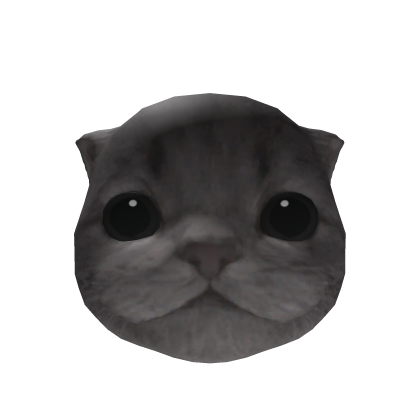 Little Kitten Head