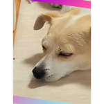 선물교환