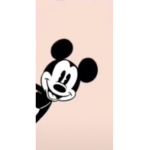 شحن ربلوكس