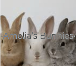 •Lexi’s Bunnies•