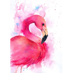 Fancy Flamingo's