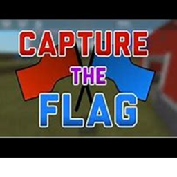 Capture the Flag