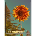 ୨୧ empiirean ･ﾟ