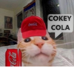 Cokey Cola City