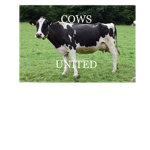 Cows United Official