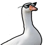 Bottom Goose Group Thumbnail