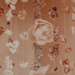 {~Aurora~}