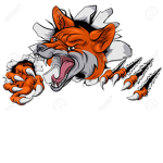 FOX RIM CLUB