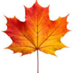 [CΑF] The Canadian Armed Forces