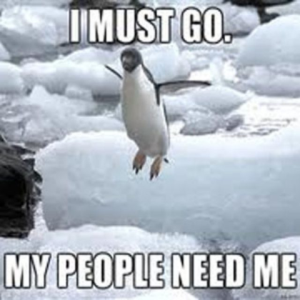 penguin meme Roblox decal