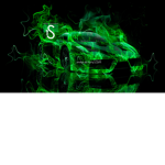 The G-Squad I