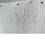 Dragons wild