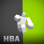 High School Basketball Association™