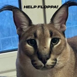 SAVE FLOPPA!