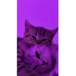 Friends MM2