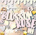 Blossom rose shop!!!