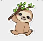 The Cozy Sloths