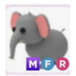 Elephant squad!!!!!!!!!!!!!!!!!!!!!!!!!!!!!!!!!!!!