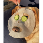 FurryLivesMatter
