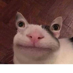 Totallynotgauravs group