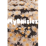 MyDaisies