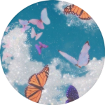 ʚ aesthetic butterflies ɞ