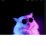 Purple purple purple yay