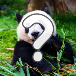 🦒Animals Quiz!  icon