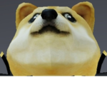 The Doge Ninjas