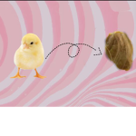 Fluffy chicken nuggets