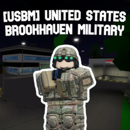 [USBM] United States Brookhaven Military Roblox group icon