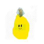 PINEAPPLES ON BURGERS